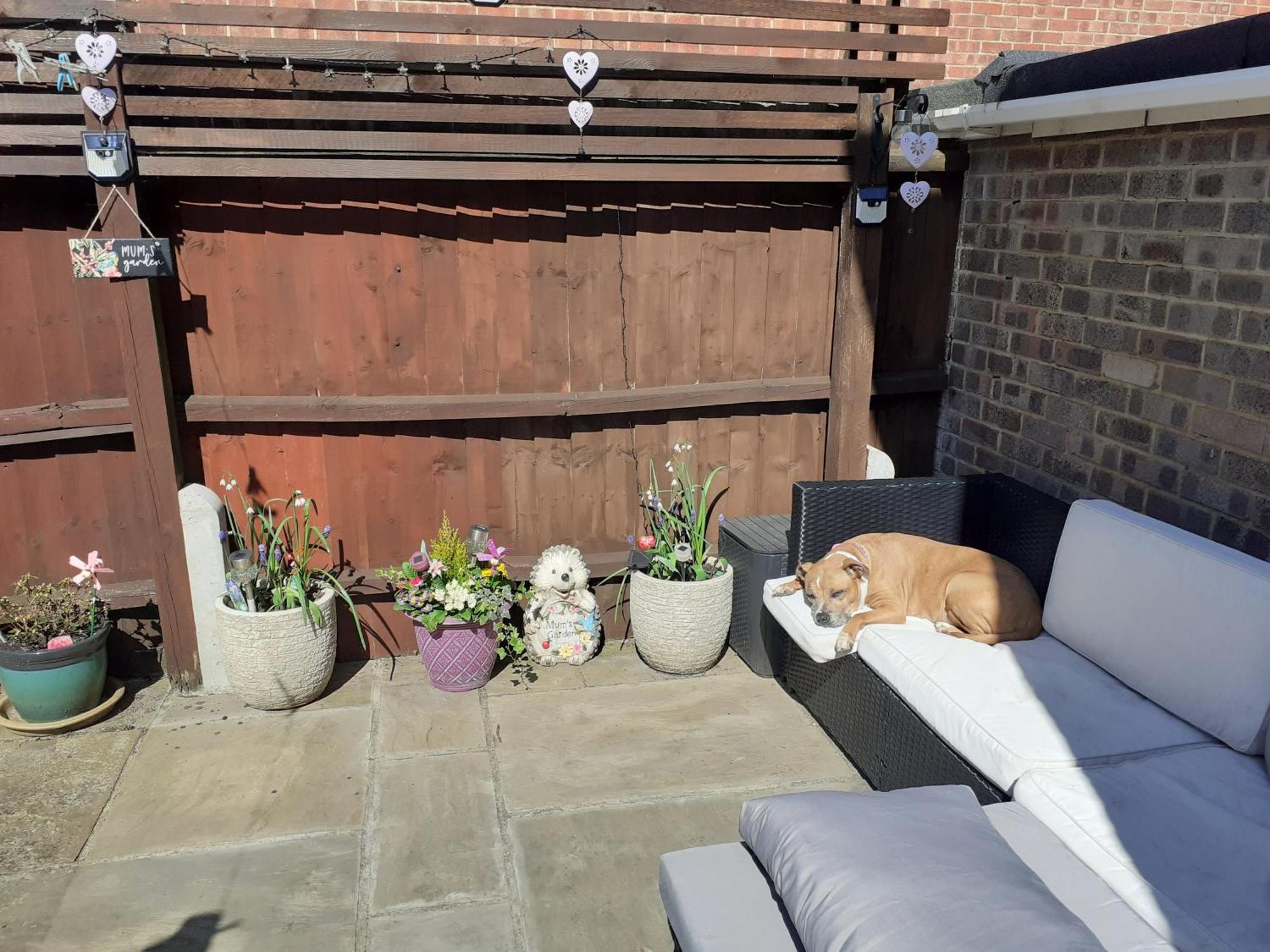 Home From Home Single Or Double Room Netflix Or Virgin Tv Wifi & Free Parking Poole Exterior foto